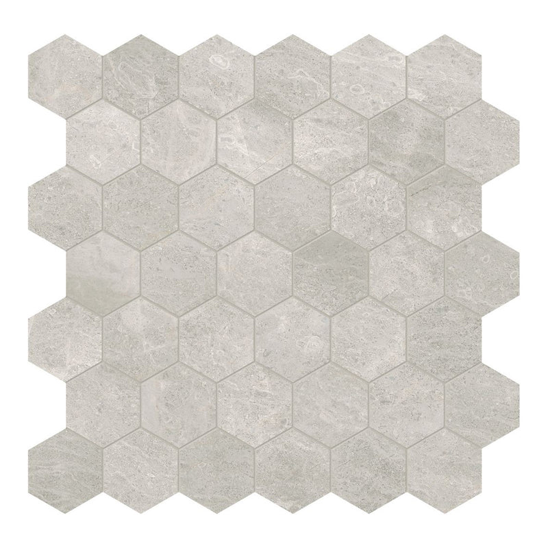2" Anciano Grigio Hexagon Honed Marble Mosaic