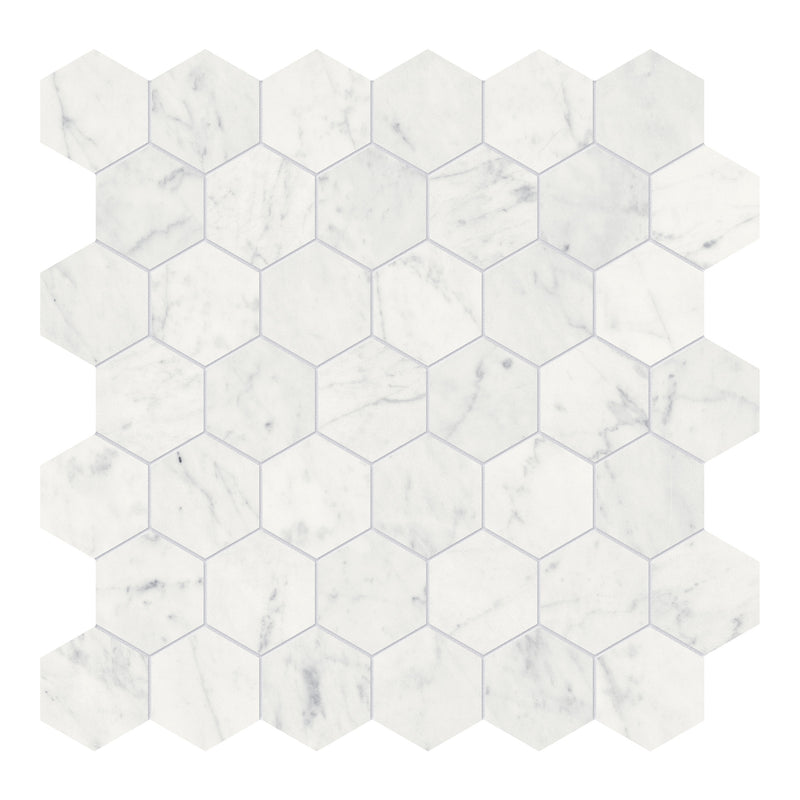 2X2 Hexagon Eternity White Honed Marble Mosaic