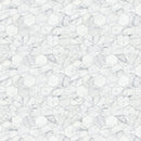 2x2 Silver Blanc Hexagon Honed Marble Mosaic