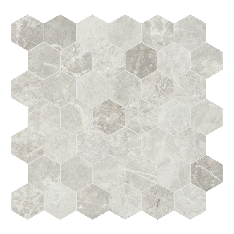 2x2 Nimbus Silverado Hexagon Honed Marble Mosaic
