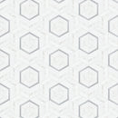 Celestia Hexagon White Honed Natural Stone Mosaic