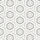 Celestia Hexagon Cloud Honed w/ Polished Accents Natural Stone Mosaic