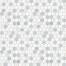 1.25 / 3 cm Celestia Ice Pennyround Honed Natural Stone Mosaic