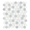 1.25 / 3 cm Celestia Ice Pennyround Honed Natural Stone Mosaic