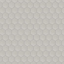2x2 Solid Light Grey Hexagon Matte Porcelain Mosaic