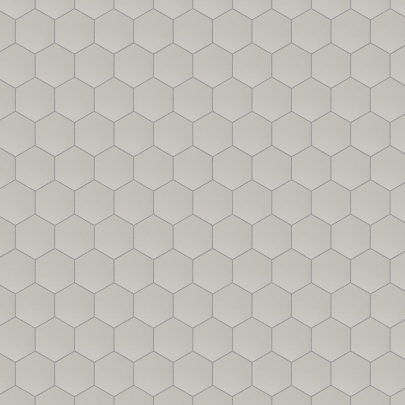 2x2 Solid Light Grey Hexagon Matte Porcelain Mosaic