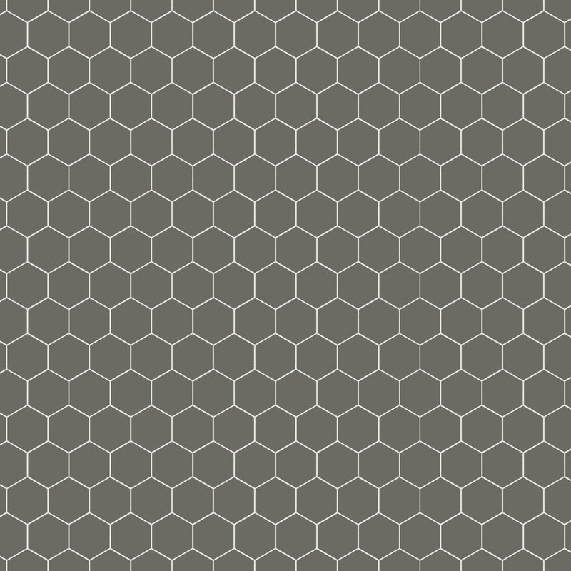 2x2 Solid Dark Grey Hexagon Matte Porcelain Mosaic