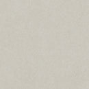 48x48 Serena Shale Organic Matte Rectified Colorsync Porcelain Tile