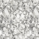 24x48 Gaogeli Dark Grey Porcelain Polished Tile