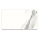 6x12 Klasiko Calacatta Porcelain Glossy Tile