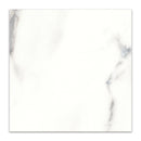 12x12 Klasiko Calacatta Porcelain Matte Tile