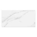 12x24 Caskata Statuario Matte Rectified Glazed Porcelain Tile