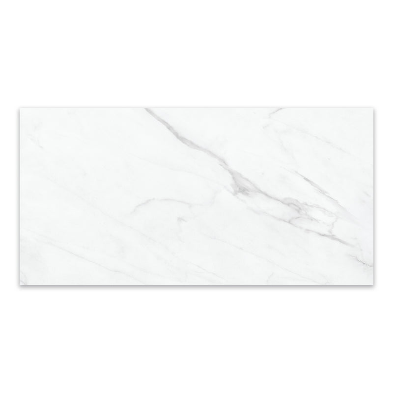 12x24 Catavino Carrara Porcelain Matte Tile