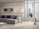 24x24 Geology Stone Ivory Polished Porcelain Tile