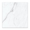 13x13 Catavino Carrara Matte Pressed Glazed Porcelain Tile