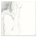 18x18 Klasiko Calacatta Matte Porcelain Tile
