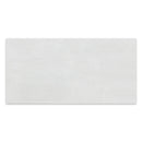 18x36 Teewater Ice Matte Rectified Porcelain Tile