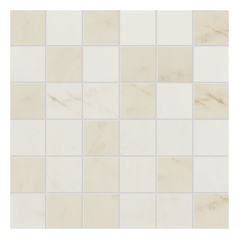 2x2 Linea Multi Ceramic Mosaic