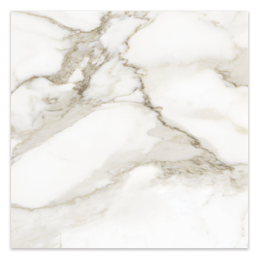 Practical tile and flooring for a busy Aurora family home