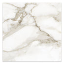 24x24 Antonella Roma Calacatta Porcelain Polished Tile