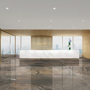 10 mm 35x71 Las Colord Porcelain Polished Tile
