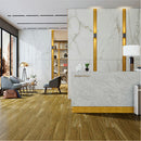 9mm 36x72 Calacatta Gold Porcelain Glazed Polished Slab Final Sale
