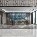 10.5mm 36x72 Labrador Silver Star Polished Porcelian Slab Final Sale