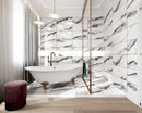 24x24 Panda White Polished Porcelain Tile