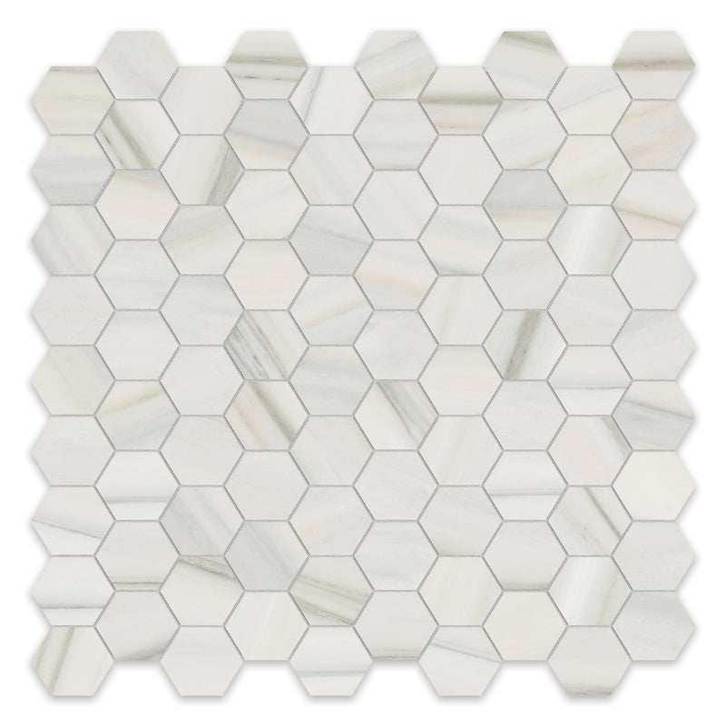 1.25x1.25 Hexagon Chateau Zebrino Porcelain Polished Mosaic