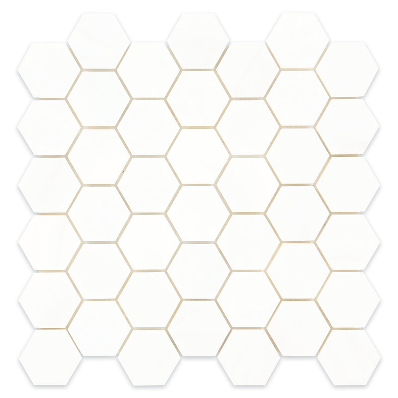 2x2 Hexagon Dolomite Select Polished Mosaic Final Sale